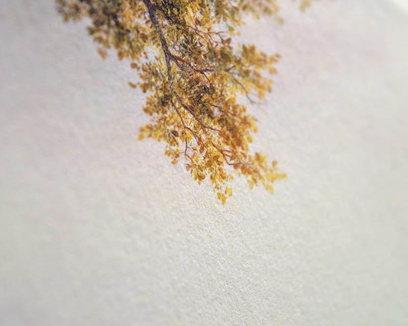 Bamboo, 110g (Slät bambu washi)  12