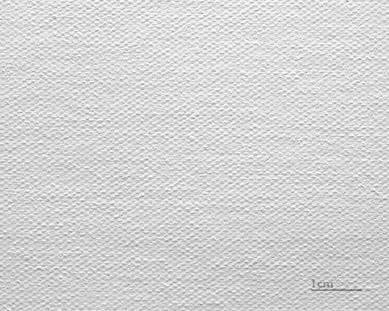 Canvas Leonardo (satin)