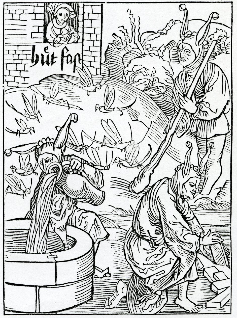 Av hym som är avundsjuk över sin fru och tittar på sina vägar utan anledning, eller euydent tokyn of hir myslyuynge, illustration från Alexander Barclays engelska översättning av 