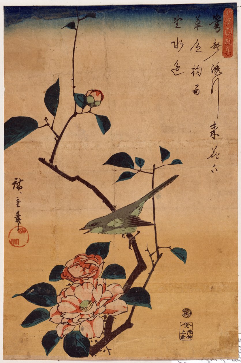 Tsubaki ni Uguisu (Camellia and Bush Warbler) av Utagawa Hiroshige
