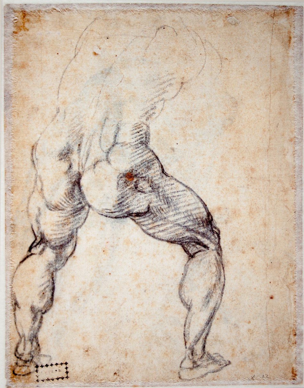 Férfiakt hátulról av Michelangelo Buonarroti