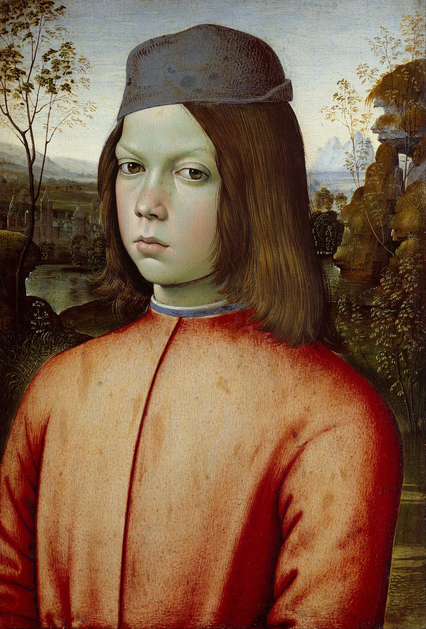 Portait of a Boy av   Pinturicchio