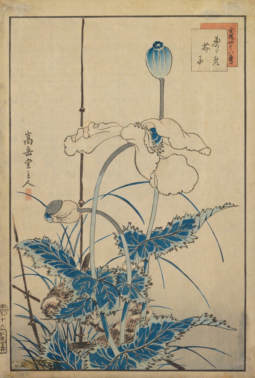 Bird over Poppies av Nakayama Sugakudo
