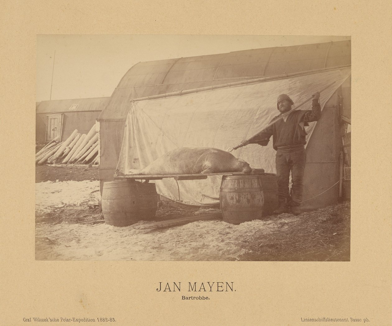 Jan Mayen, Bartrobbe av (Linienschiffs Lieutenant) Richard Basso