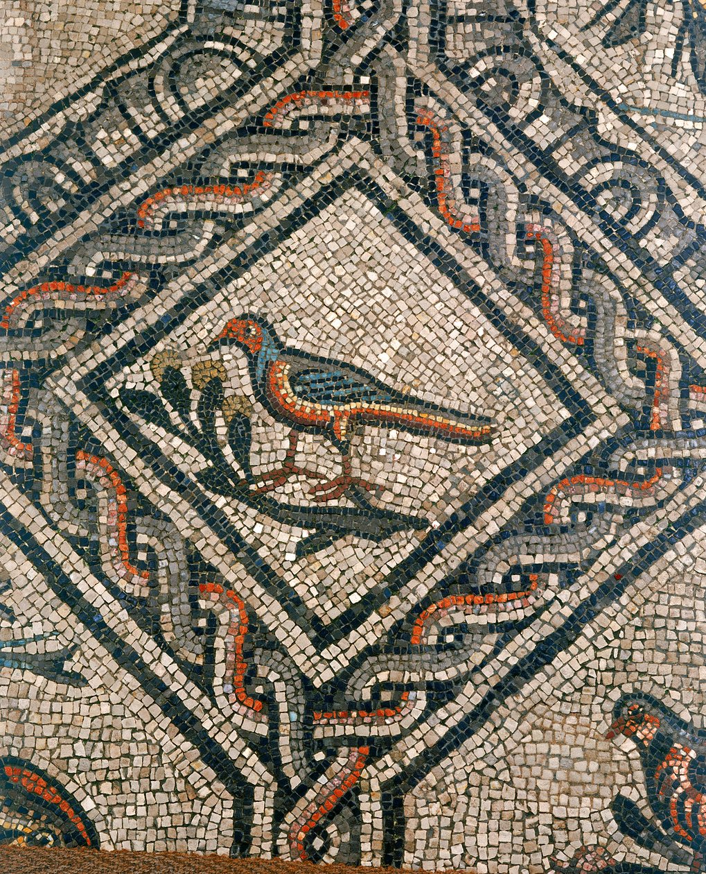 Detalj av golvet i den tidiga kristna basilikan i Aquileia, Udine av Unknown