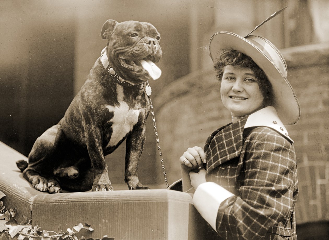 Ung flicka och hennes bullterrier c.1915 av Unknown