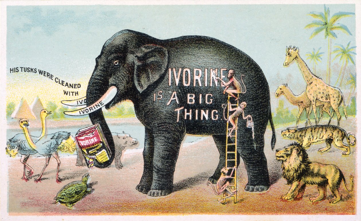 Ivorine är en stor sak (färg litho [bytekort]) av American School