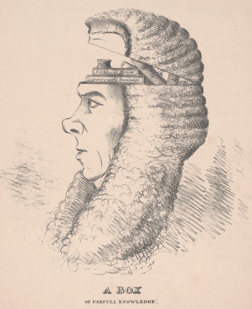 A Box of Useful Knowledge: Caricature of Brougham, 1832 av English School