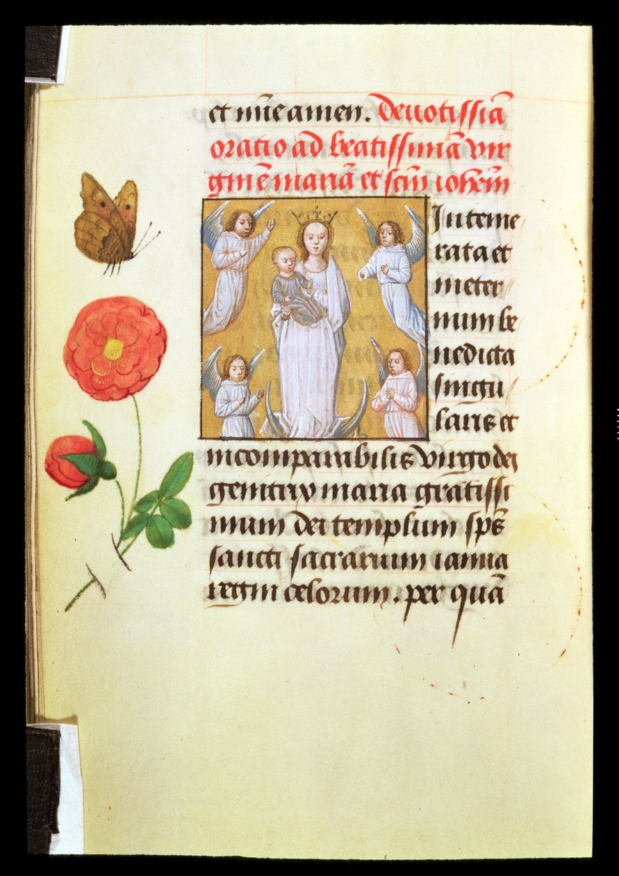 Standing Virgin and Child, Adored by Angels, c.1515-20 (tempera och guldfärg på veläng) av Flemish School