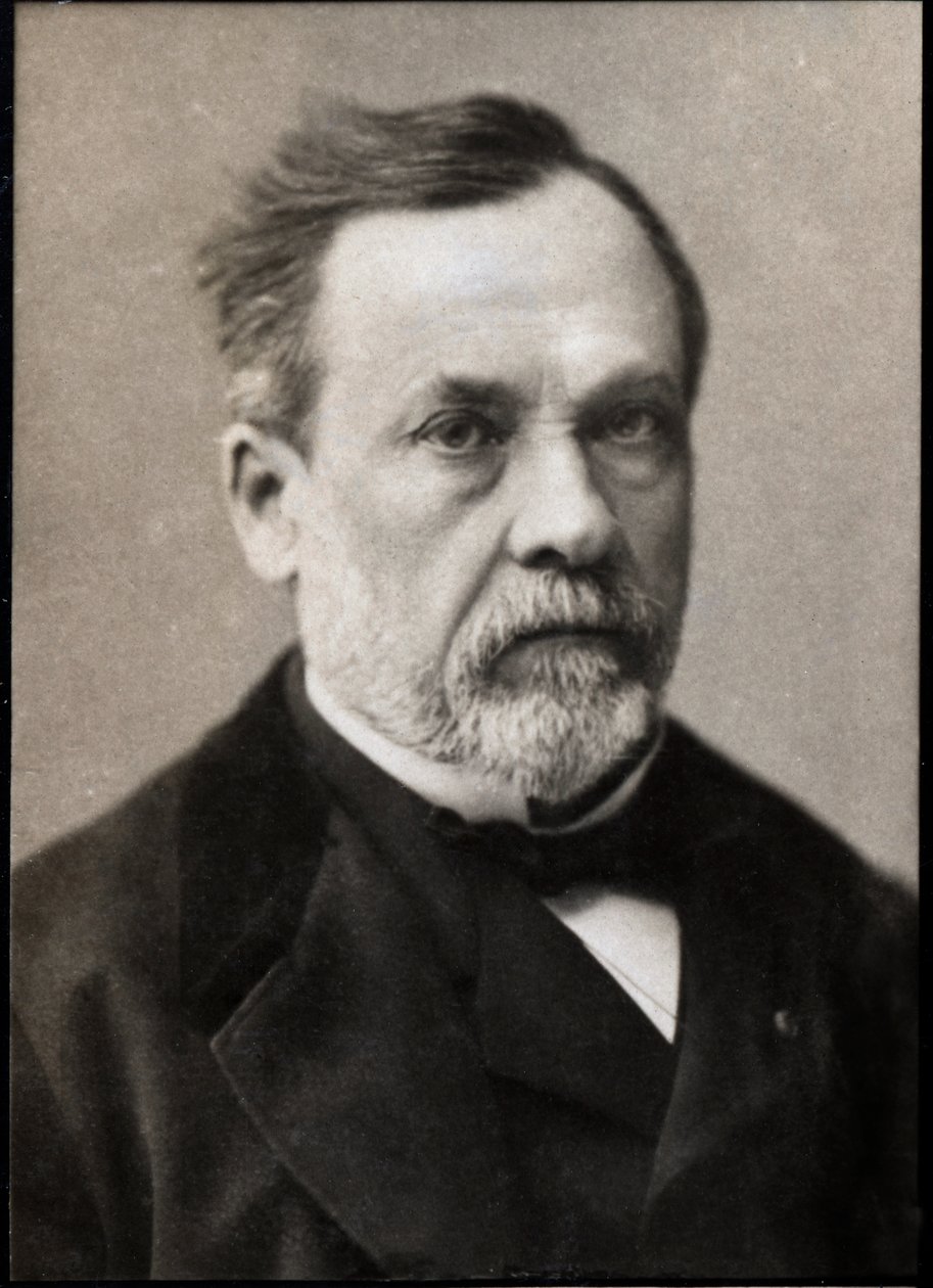 Porträtt av Louis Pasteur (1822-1895), fransk kemist och mikrobiolog. av French Photographer