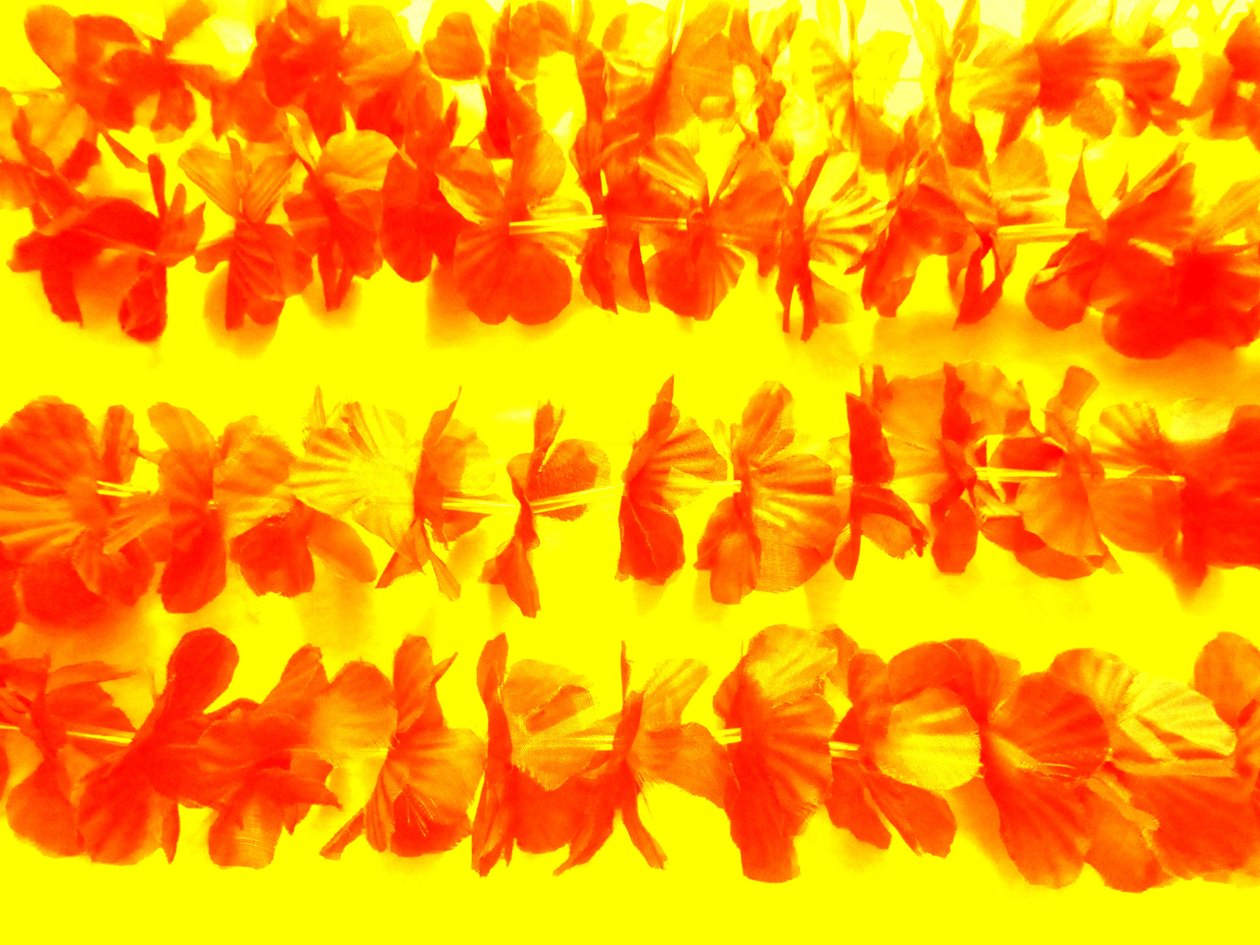 Blommor av Martina Konitzky