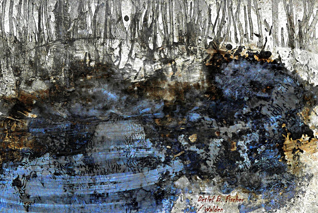 Walden av Detlef B. Fischer