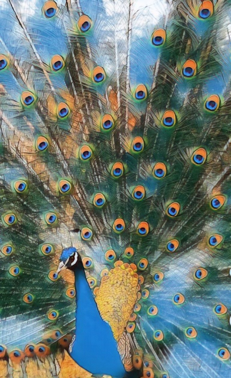 Pavo Real. av Margareta Uliarte