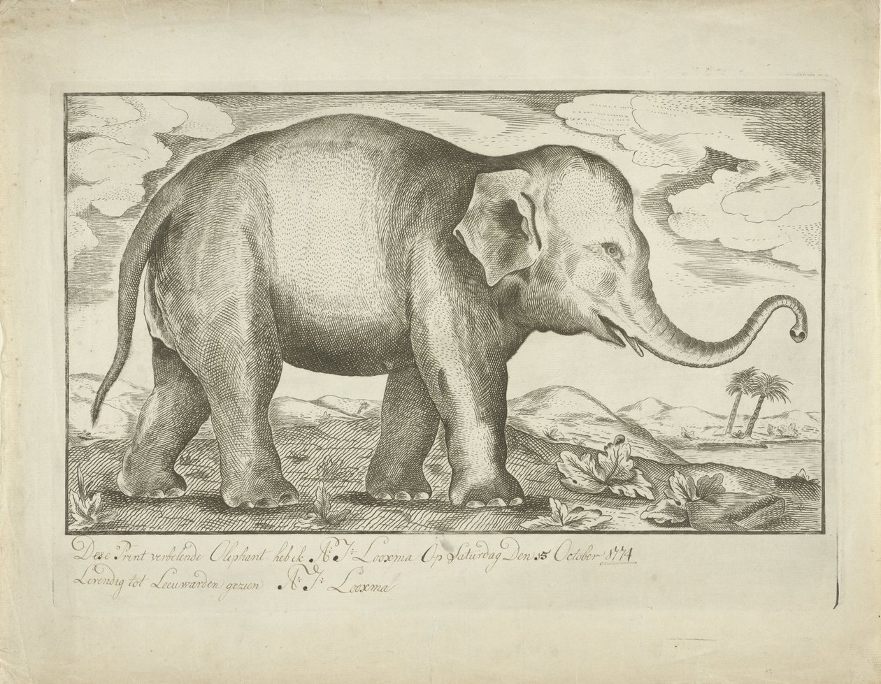 Elefant av A.J. Looxma