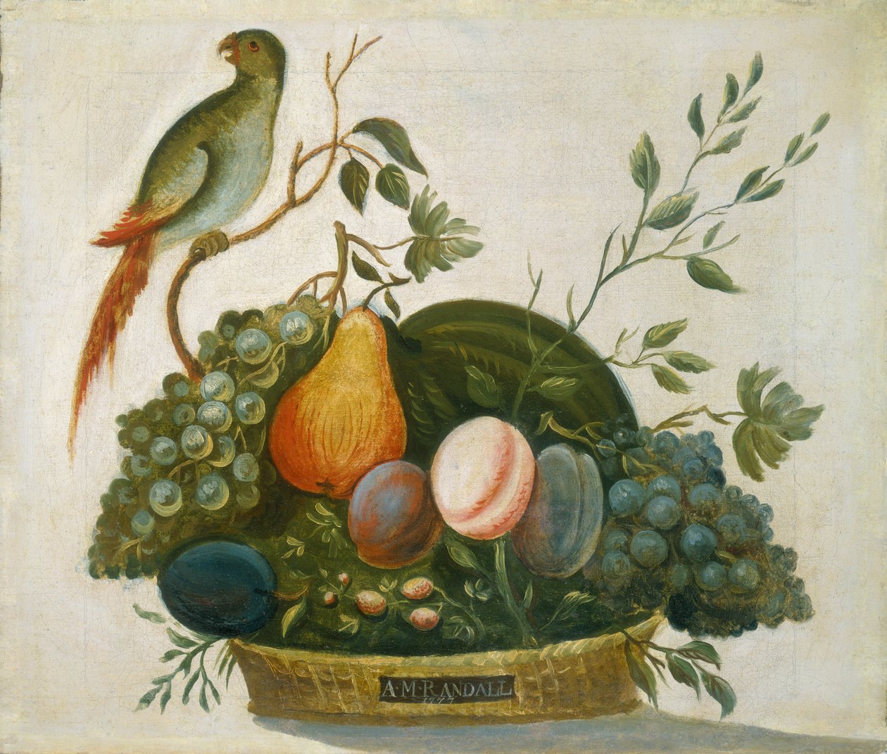 Fruktkorg med papegoja, 1777. av A.M. Randall