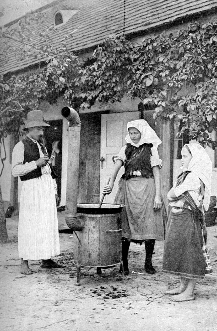 Tillverkar gelé i Czinkota, Ungern, 1922. av A. W. Cutler