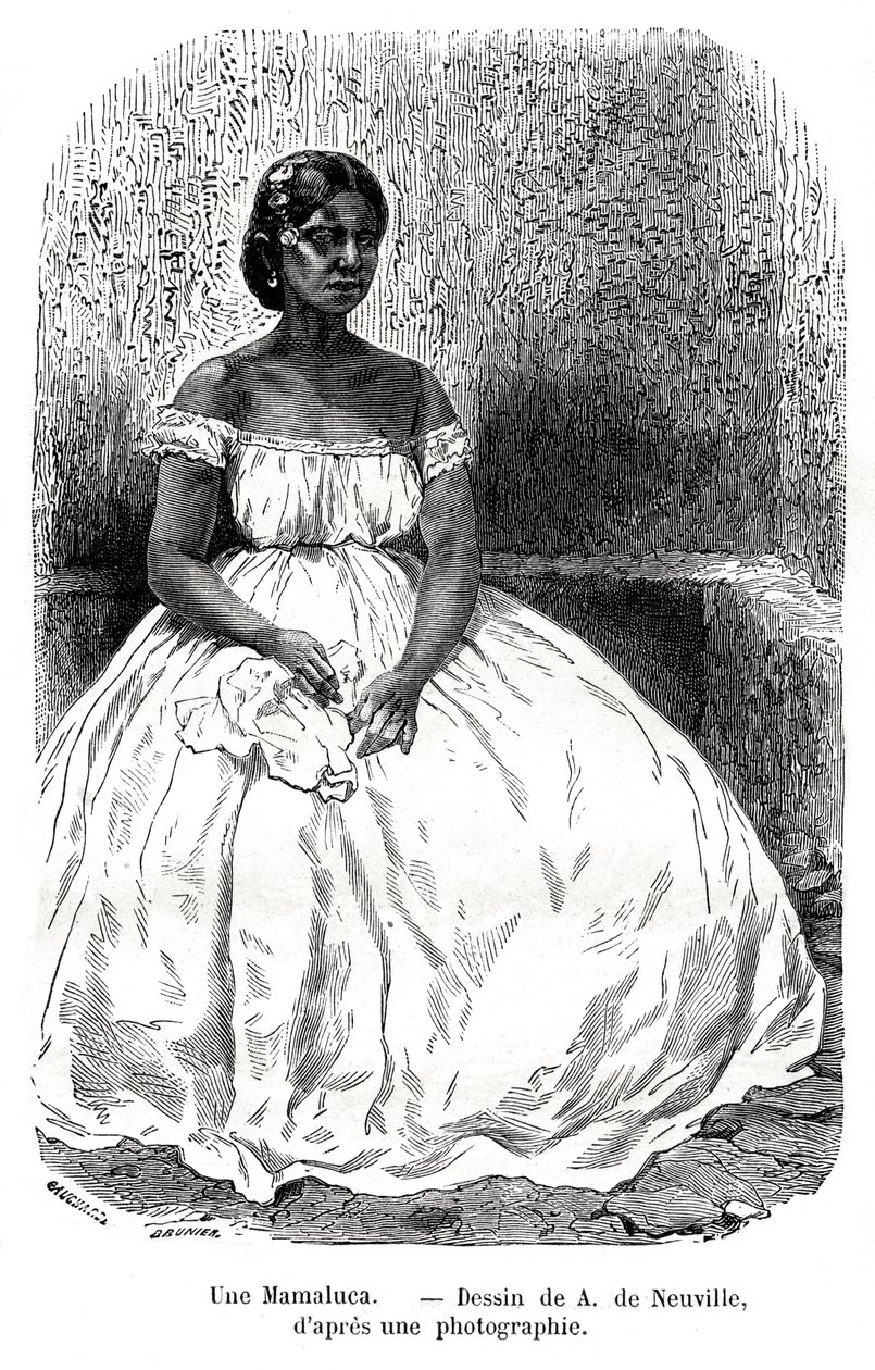 Une Mamaluca, Brazil, 19th century. av A. de Neuville