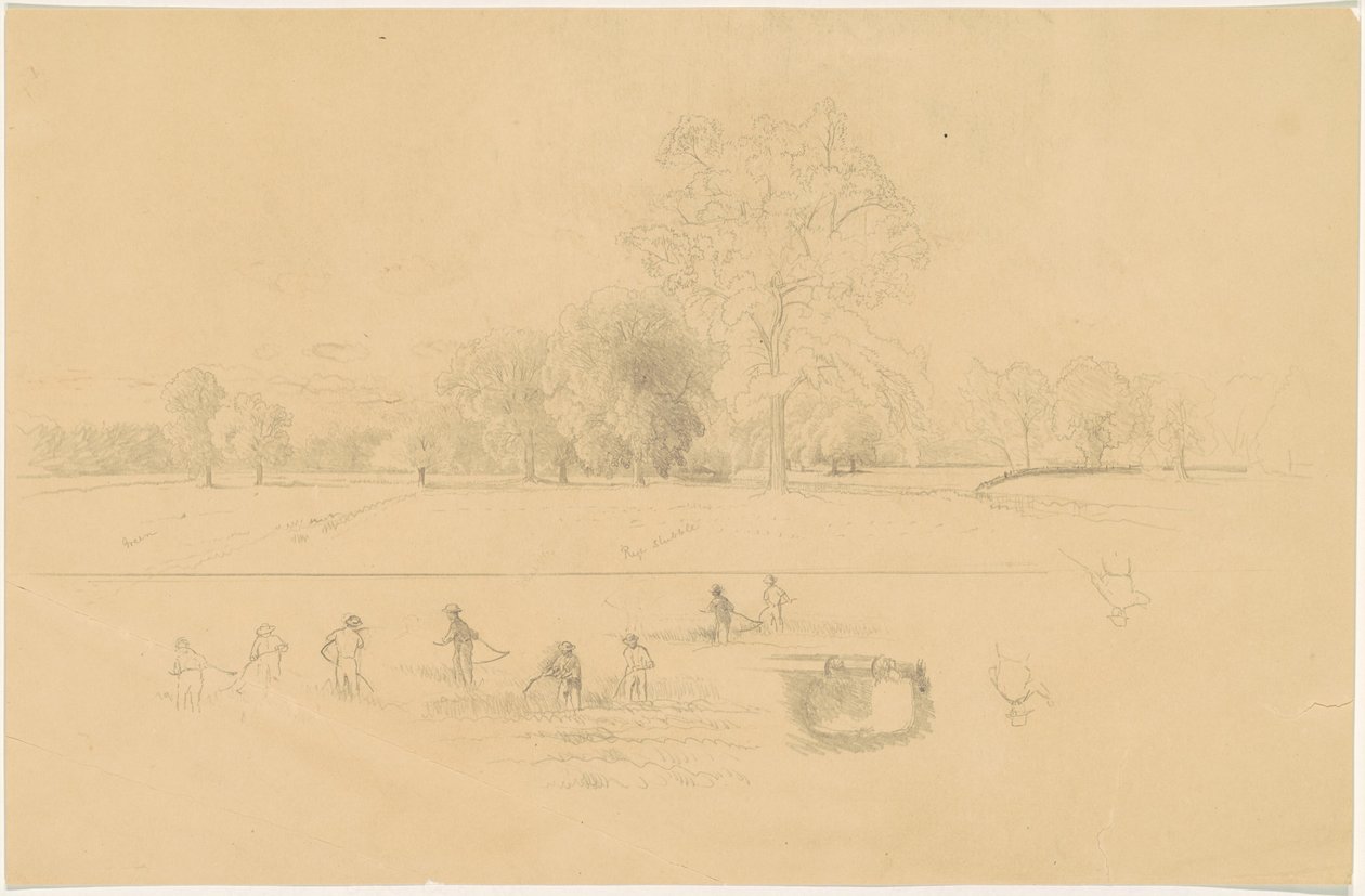 Harvesting, New England av Aaron Draper Shattuck