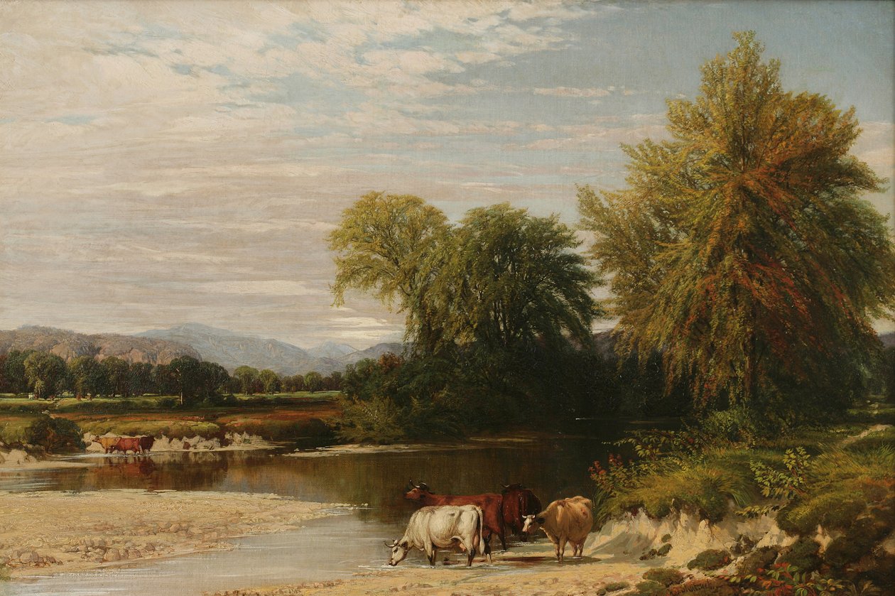 Forden, 1856 av Aaron Draper Shattuck