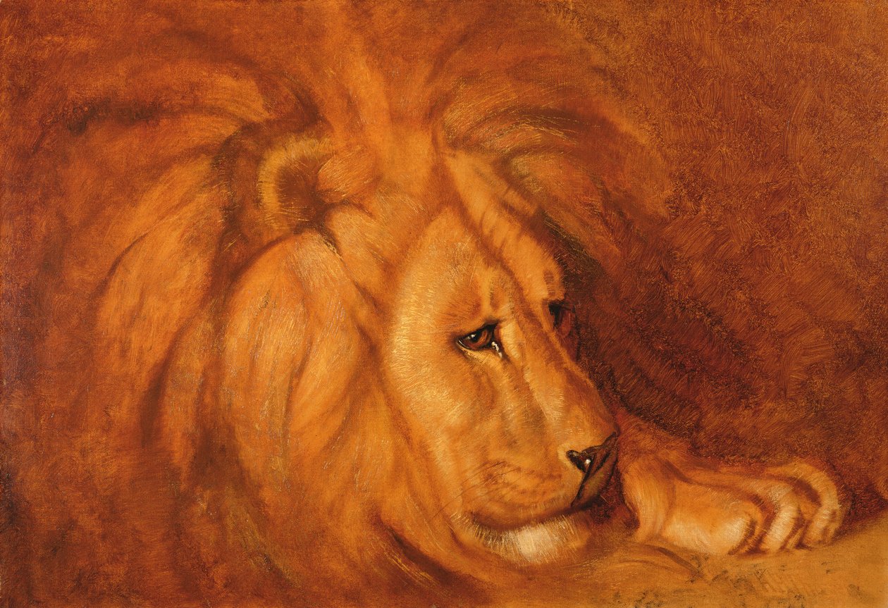 Lejon i vila (olja på duk) av Abbott Handerson Thayer