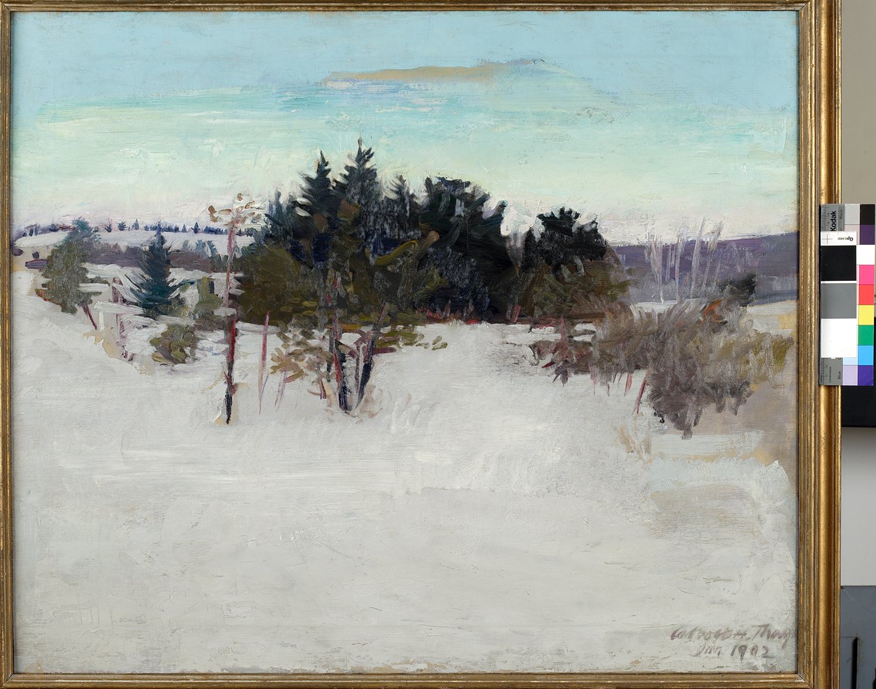 Vinterlandskap, 1902 av Abbott Handerson Thayer
