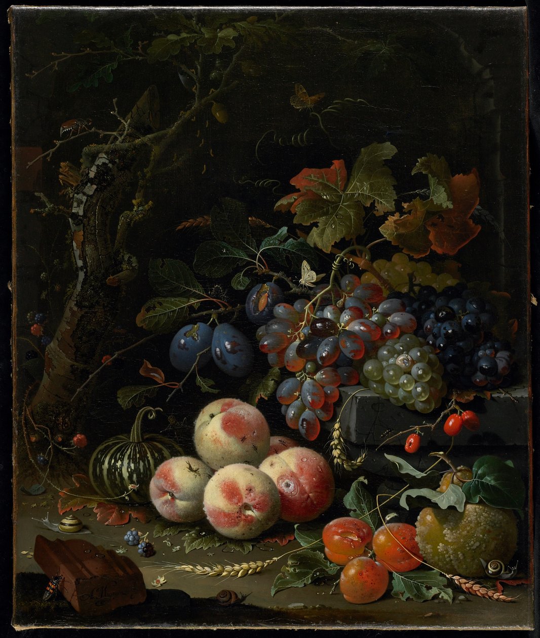 Stilleben med frukt, lövverk och insekter, c.1669 av Abraham Mignon