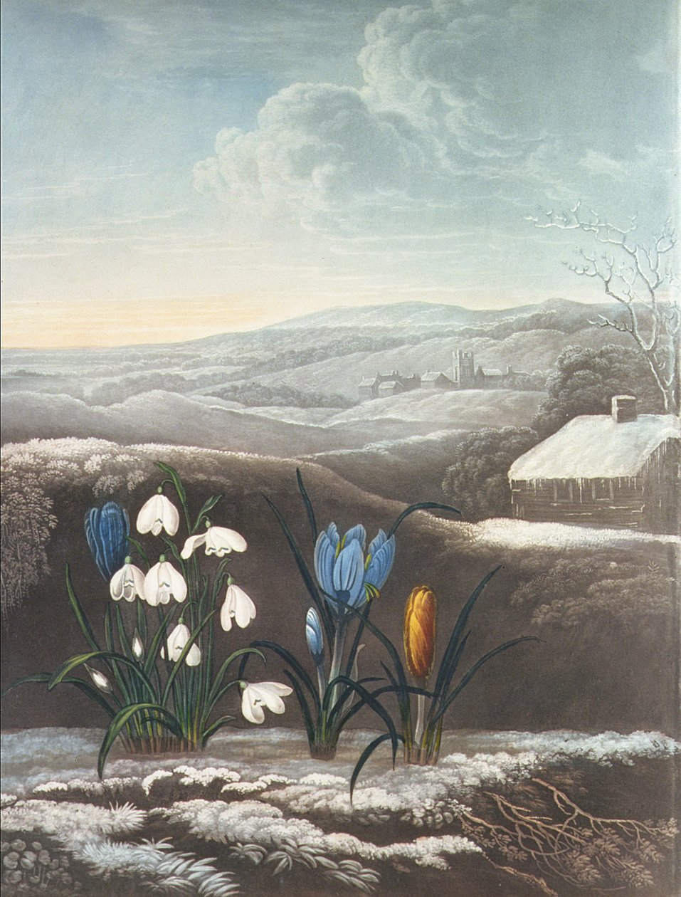 Snödroppen, graverad av Ward, troligen tidigt 1800-tal (akvatint och gummi arabicum) av Abraham Pether
