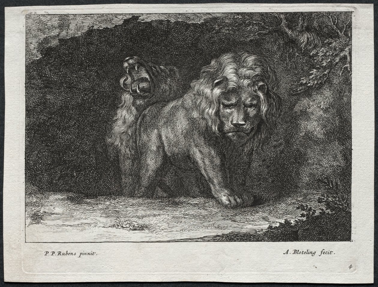 Olika Lions av Abraham Blooteling