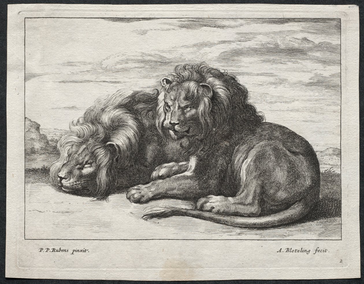 Olika Lions. av Abraham Blooteling