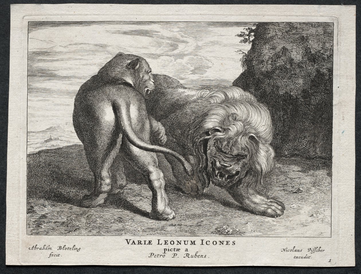 Olika Lions. av Abraham Blooteling
