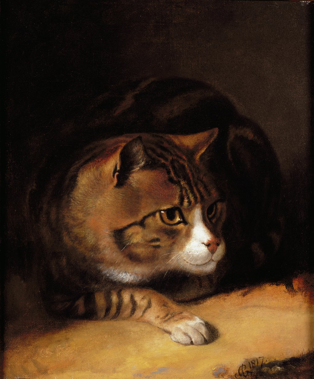 En Tabby Cat av Abraham Cooper