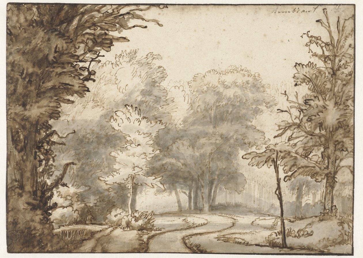 Vägen genom skogen av Abraham Furnerius