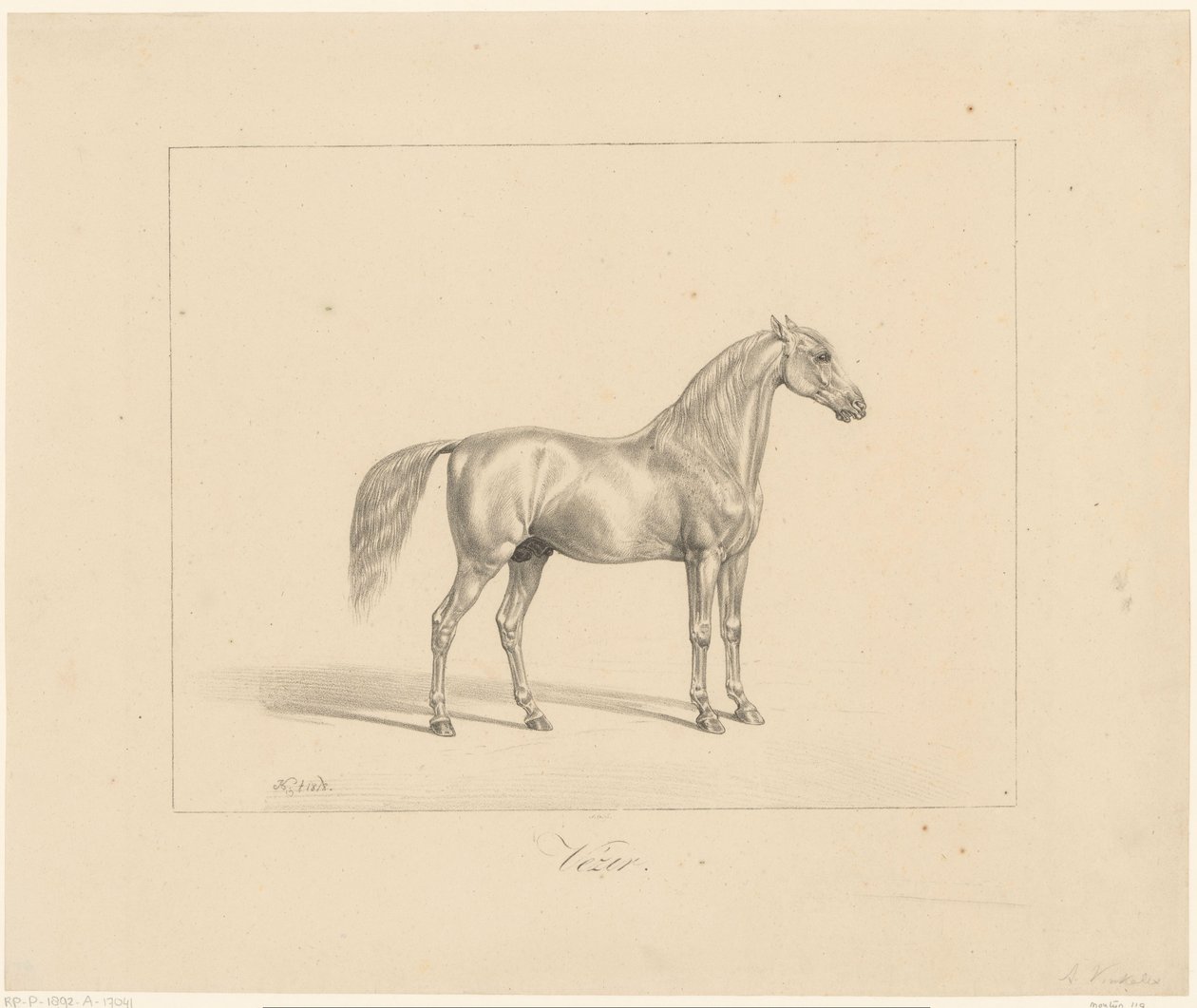 Arabisk hingst Vézir (titel på objekt) av Abraham Vinkeles
