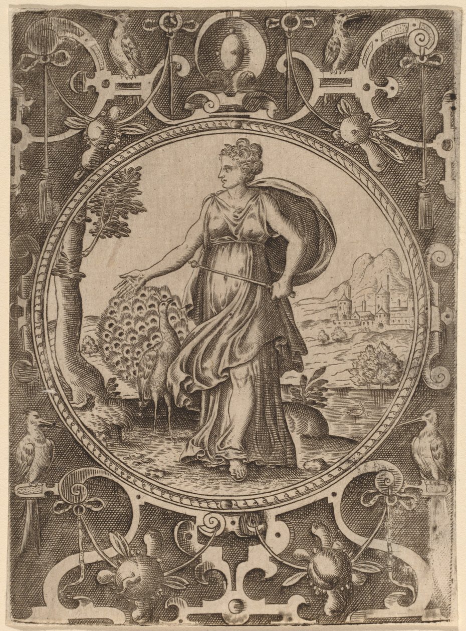 Juno av Abraham de Bruyn