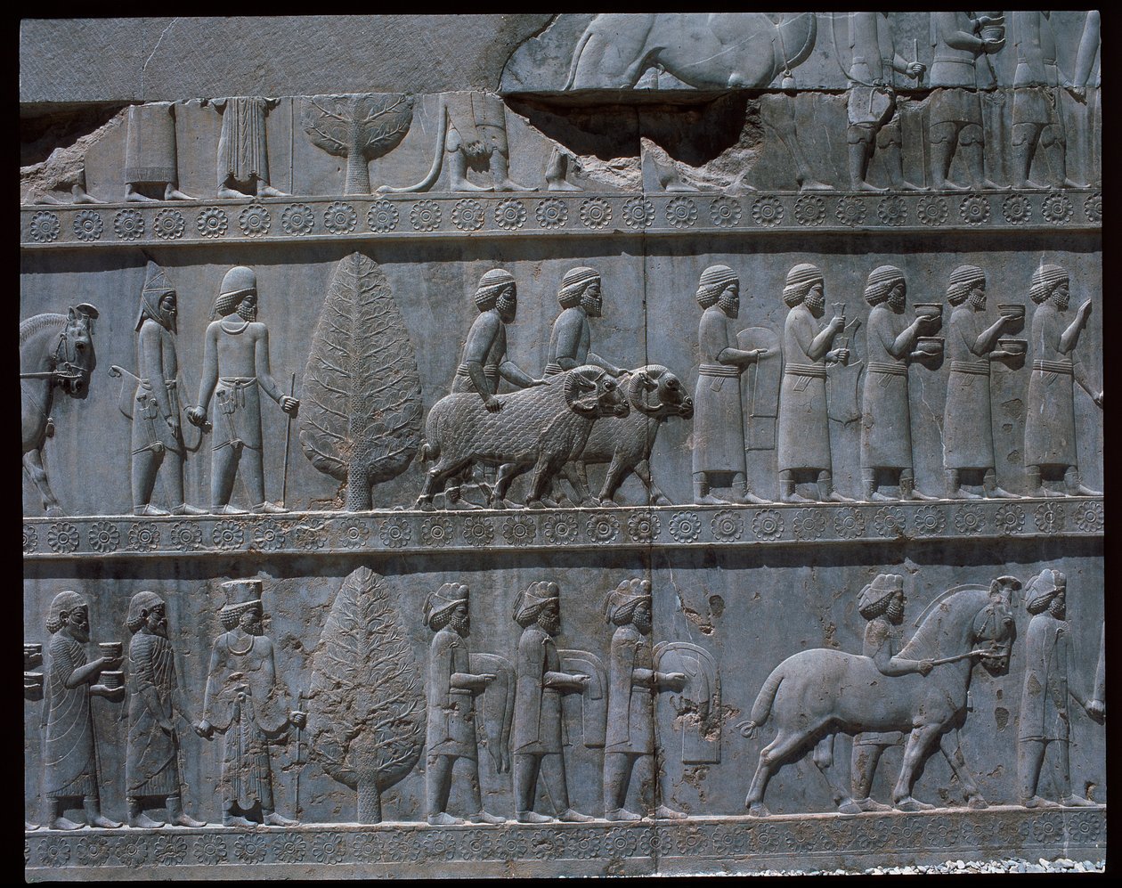 Vy över relieferna från östra trappan av Achaemenid