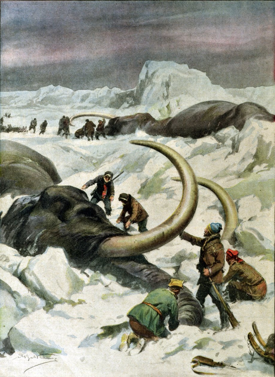 Upptäckten av frusna mammutar i Sibirien, illustration från "Corriere della Sera", 9 december 1934. av Achille Beltrame