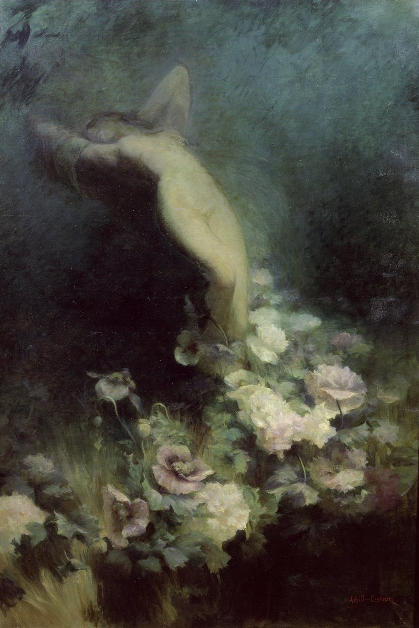 Sömnens blommor av Achille Theodore Cesbron