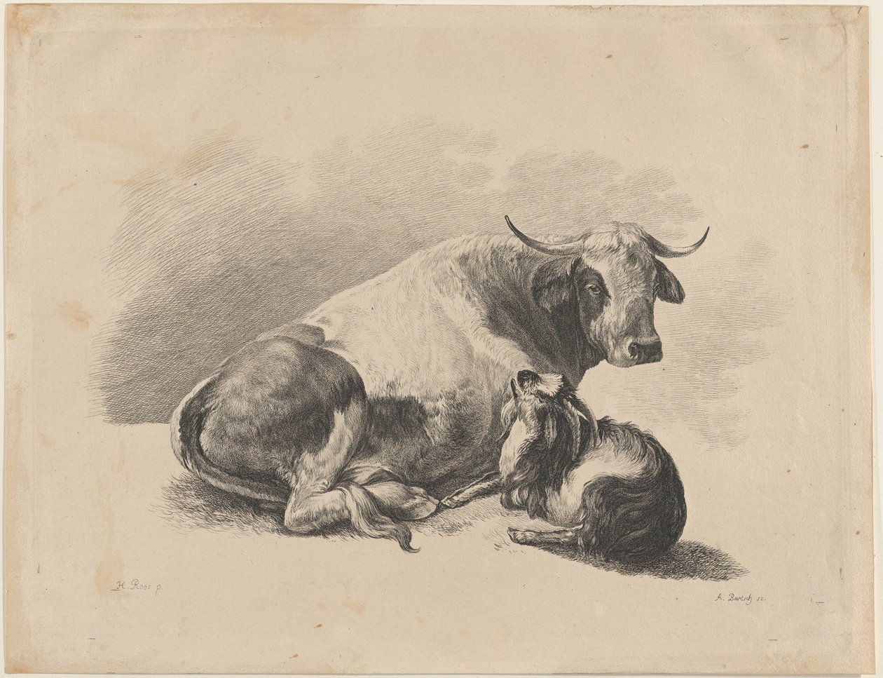 Ko och get liggande, 1800-01. av Adam von Bartsch