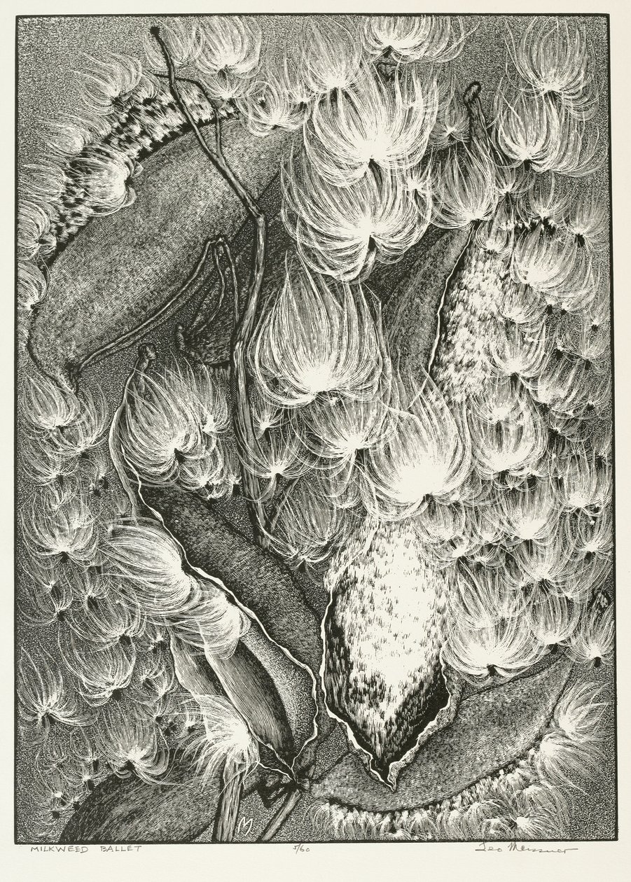 Milkweed balett av Adolf Ernst Meissner