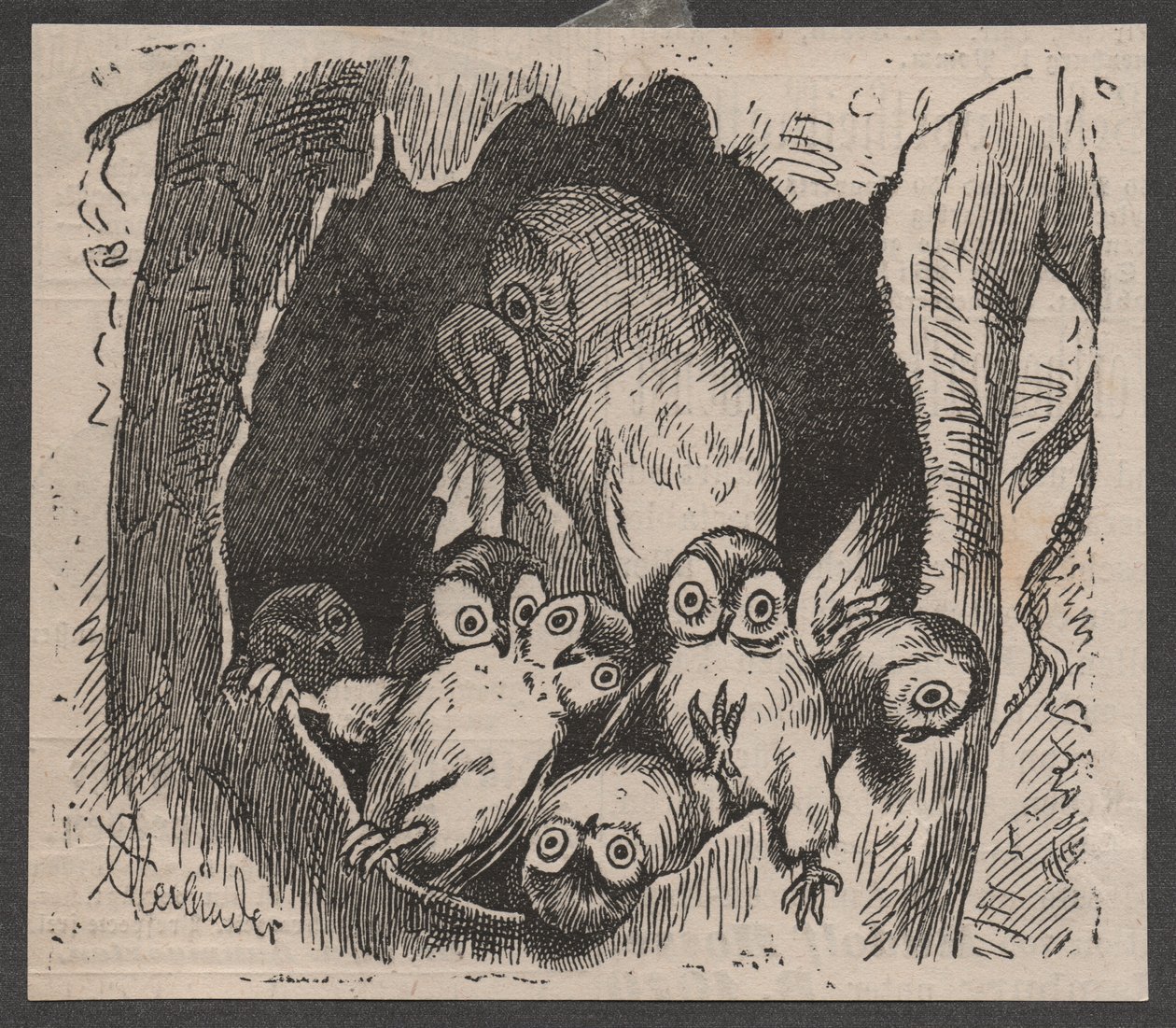 Uggla med ungar, ca 1890 (quickpress print) av Adolf Oberländer