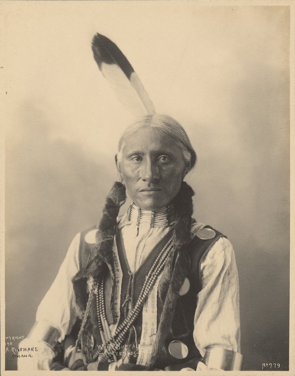 White Buffalo, Cheyennes av Adolph F. Muhr