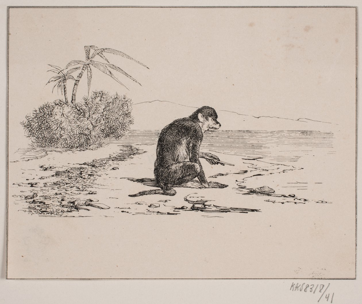 Apkatten av Johan Adolph Kittendorff