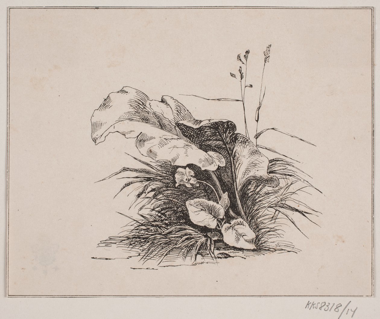 Fiolen av Johan Adolph Kittendorff