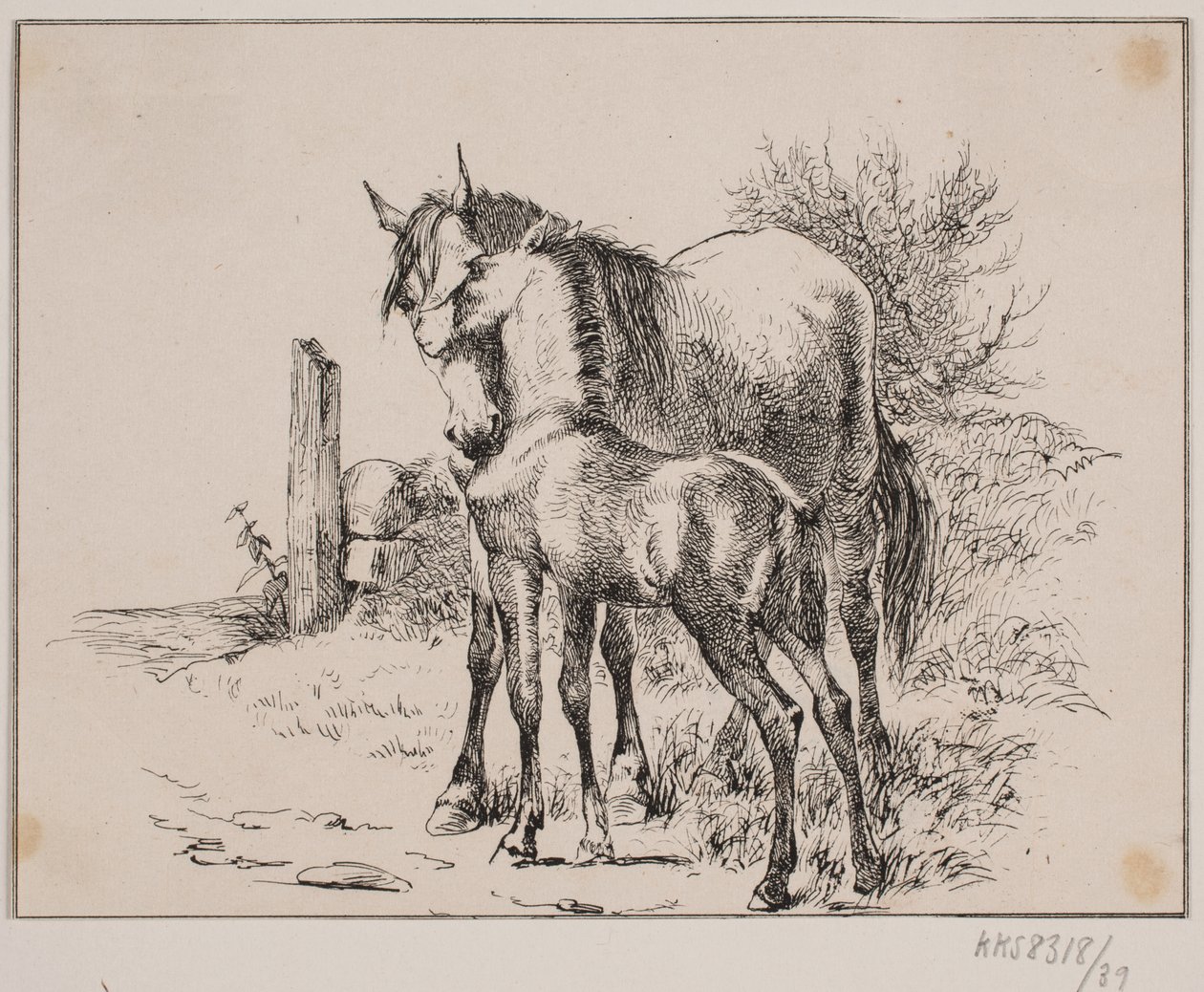 Hästen och fölet av Johan Adolph Kittendorff