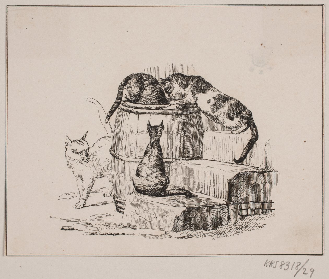 Katterna av Johan Adolph Kittendorff