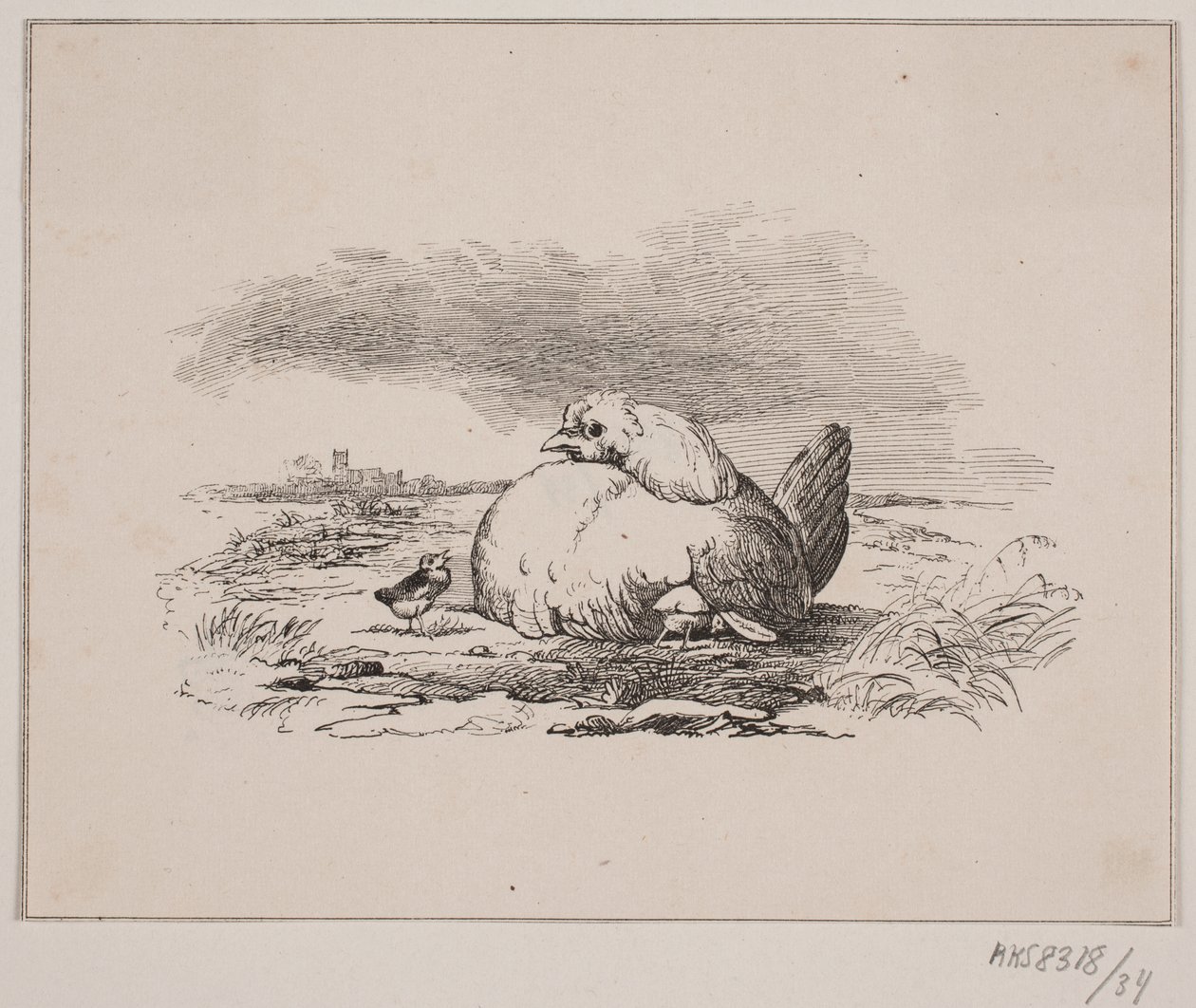 Kycklingarna av Johan Adolph Kittendorff