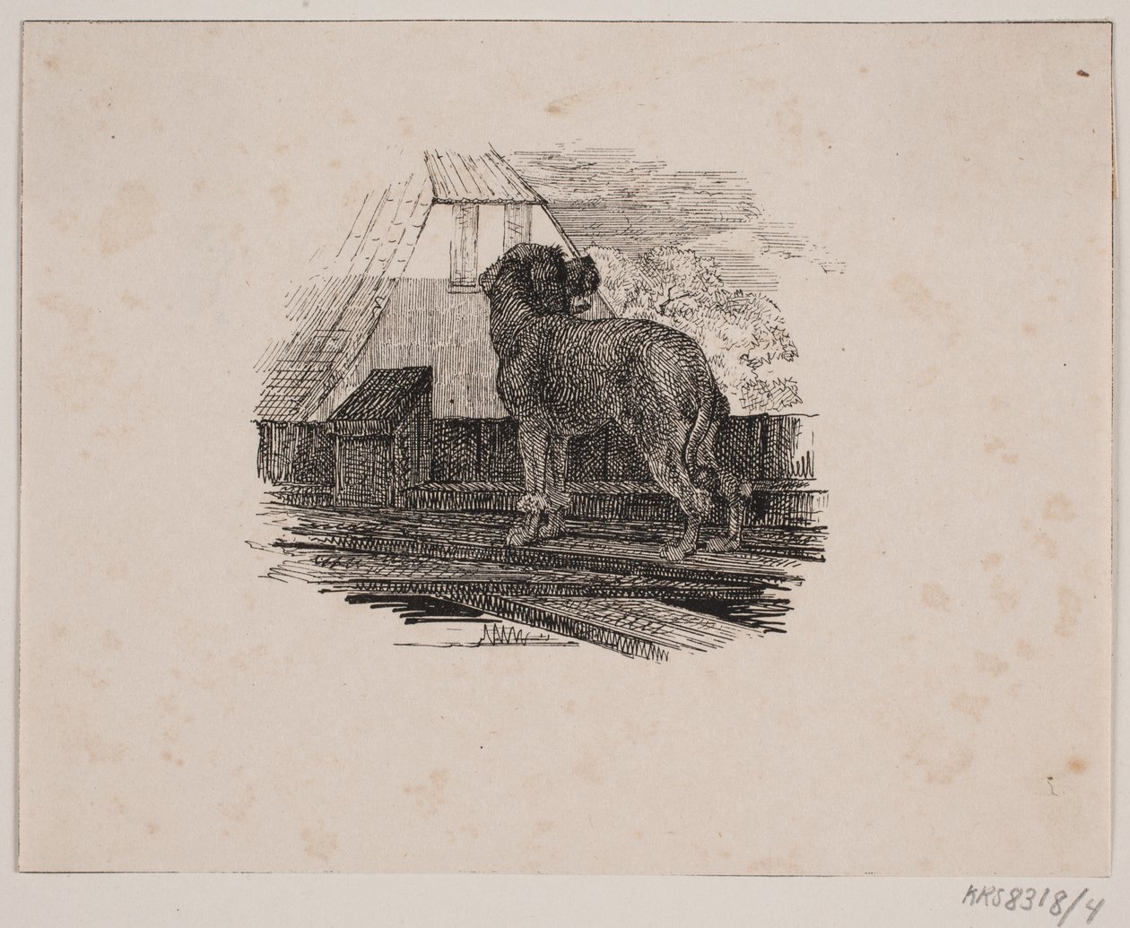 Pudelhunden av Johan Adolph Kittendorff