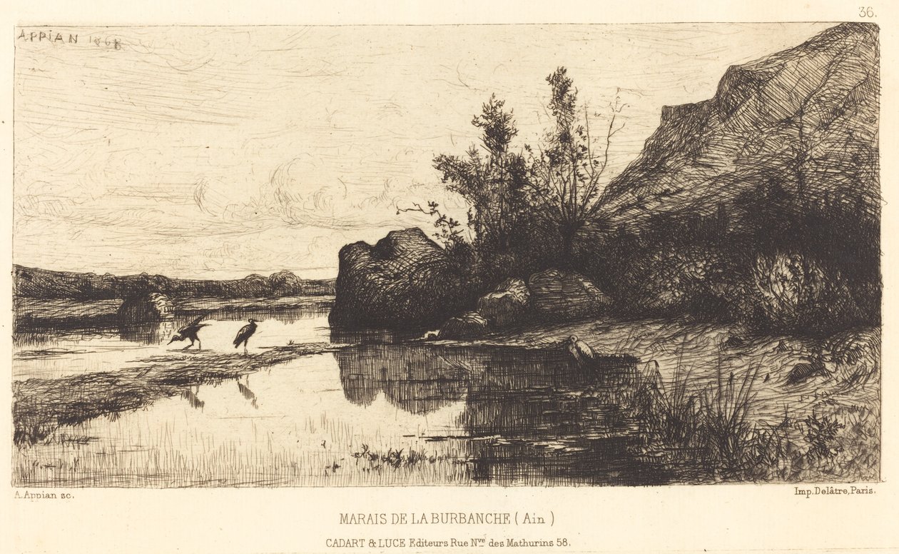 Marsh of the Burbanche av Adolphe Appian