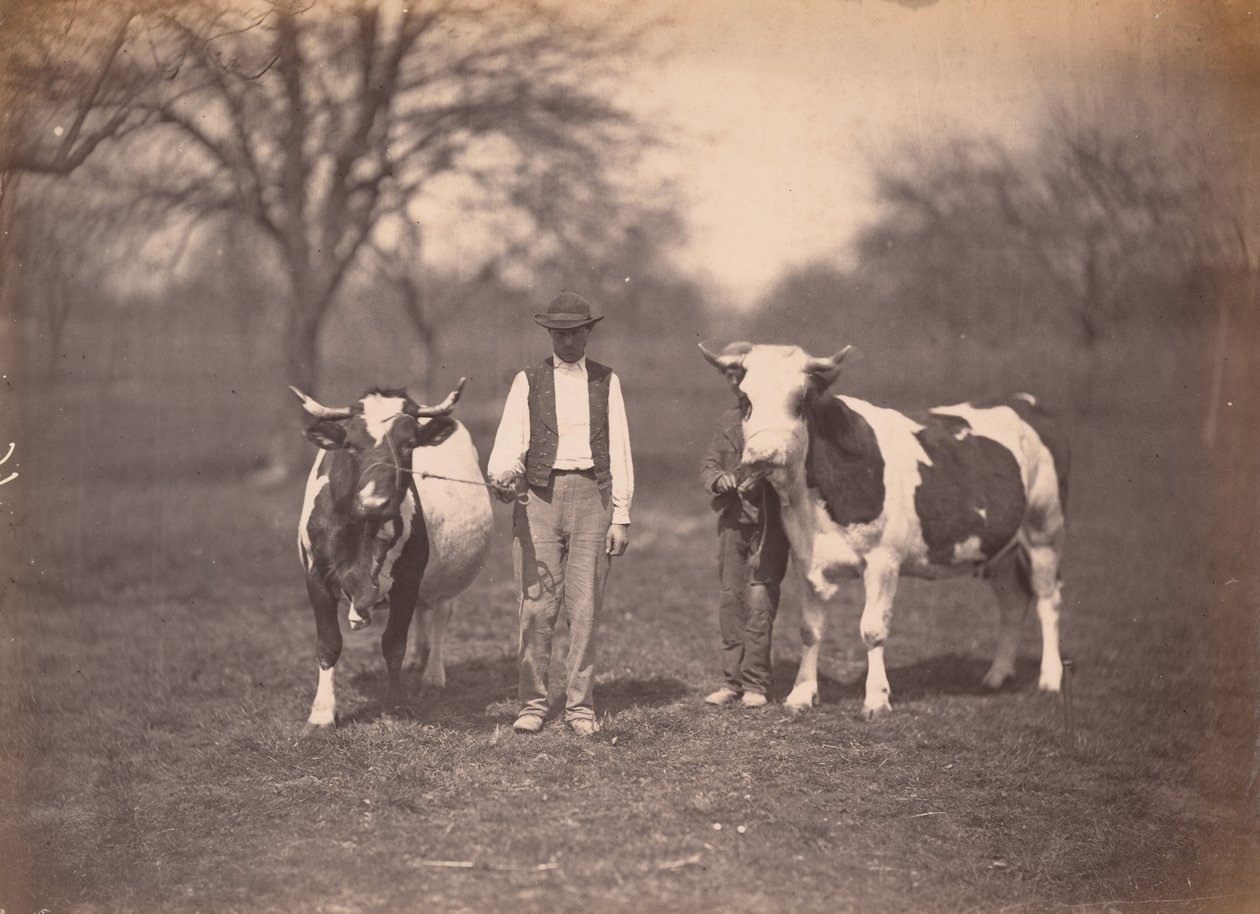 Landskap,ca. 1864 (foto) av Adolphe Braun