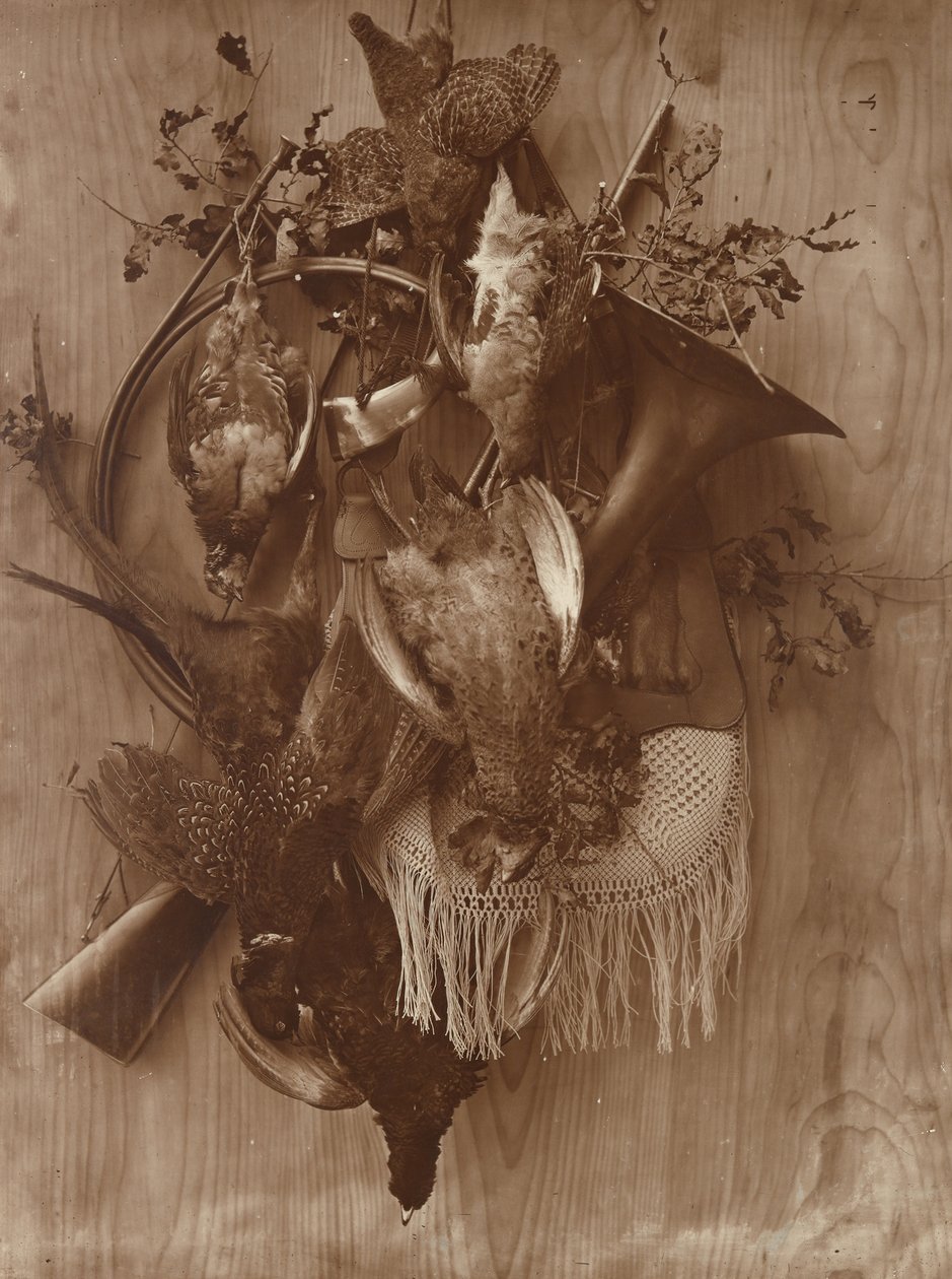 Fasan och ripa, ca. 1865. av Adolphe Braun